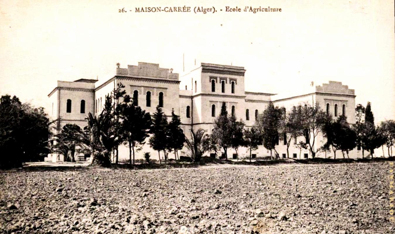 Maison-Carree - Ecole Agriculture  .jpg